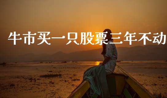 牛市买一只股票三年不动_https://qh.lansai.wang_新股数据_第1张