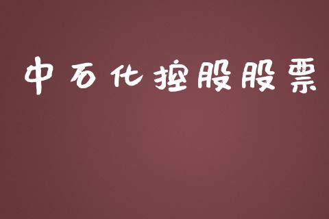 中石化控股股票_https://qh.lansai.wang_新股数据_第1张