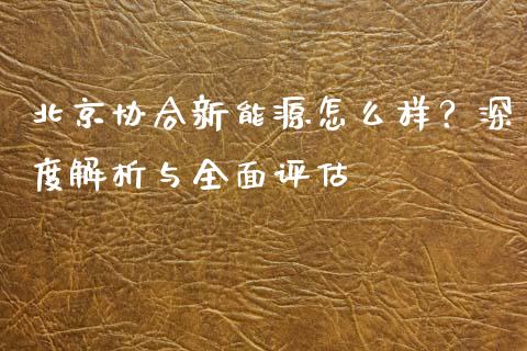 北京协合新能源怎么样？深度解析与全面评估_https://qh.lansai.wang_期货喊单_第1张