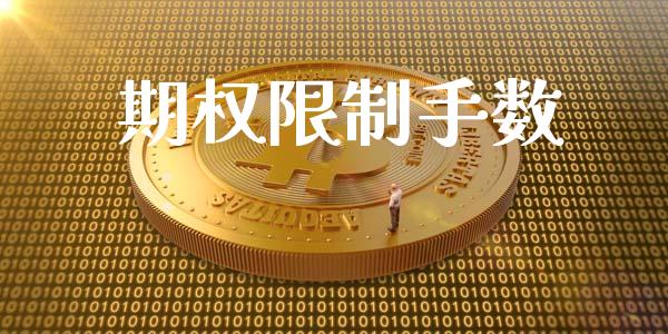 期权限制手数_https://qh.lansai.wang_海康威视股票_第1张