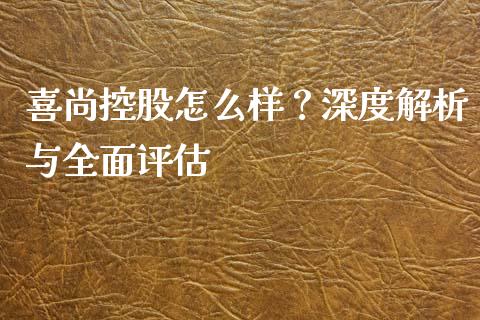 喜尚控股怎么样？深度解析与全面评估_https://qh.lansai.wang_股票技术分析_第1张