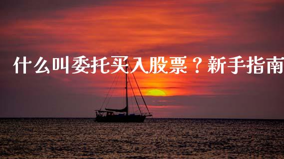 什么叫委托买入股票？新手指南_https://qh.lansai.wang_股票新闻_第1张