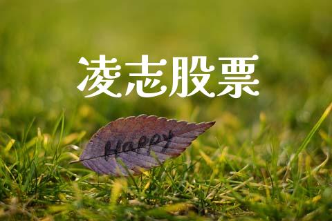 凌志股票_https://qh.lansai.wang_期货理财_第1张