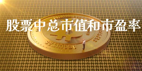 股票中总市值和市盈率_https://qh.lansai.wang_期货怎么玩_第1张