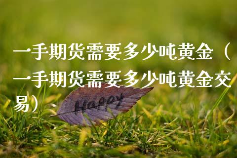 一手期货需要多少吨黄金（一手期货需要多少吨黄金交易）_https://qh.lansai.wang_股票技术分析_第1张