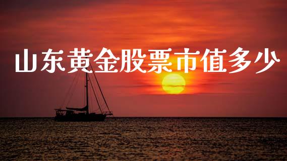 山东黄金股票市值多少_https://qh.lansai.wang_期货喊单_第1张