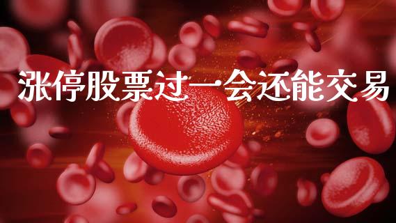 涨停股票过一会还能交易_https://qh.lansai.wang_期货喊单_第1张