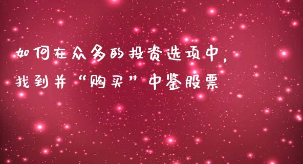 如何在众多的投资选项中，找到并“购买”中鉴股票_https://qh.lansai.wang_股票技术分析_第1张