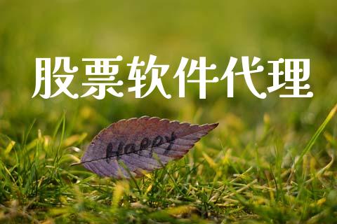 股票软件代理_https://qh.lansai.wang_期货喊单_第1张