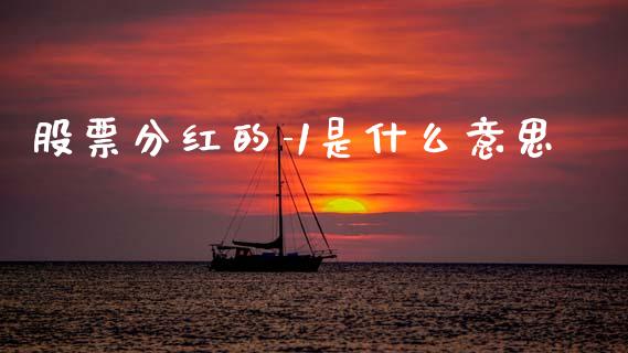 股票分红的-1是什么意思_https://qh.lansai.wang_新股数据_第1张