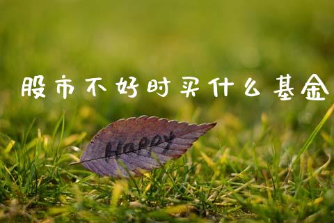 股市不好时买什么基金_https://qh.lansai.wang_期货理财_第1张