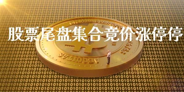 股票尾盘集合竟价涨停停_https://qh.lansai.wang_期货怎么玩_第1张