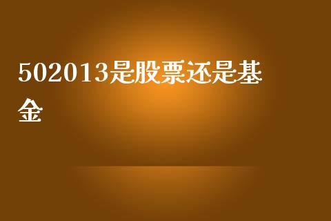 502013是股票还是基金_https://qh.lansai.wang_期货怎么玩_第1张