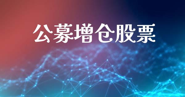 公募增仓股票_https://qh.lansai.wang_期货怎么玩_第1张