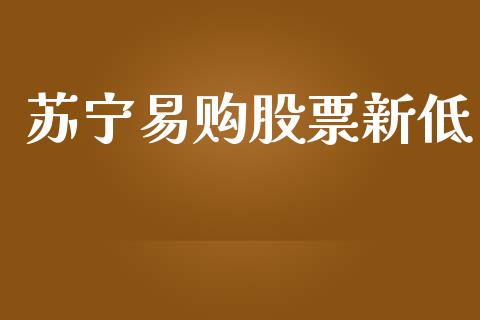 苏宁易购股票新低_https://qh.lansai.wang_期货怎么玩_第1张
