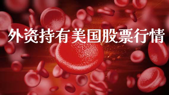 外资持有美国股票行情_https://qh.lansai.wang_股票新闻_第1张