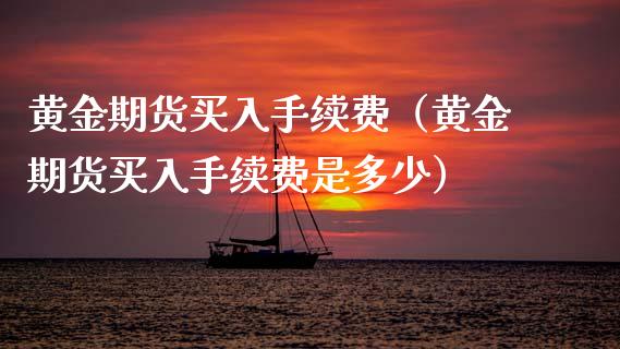 黄金期货买入手续费（黄金期货买入手续费是多少）_https://qh.lansai.wang_期货理财_第1张