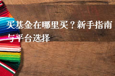 买基金在哪里买？新手指南与平台选择_https://qh.lansai.wang_海康威视股票_第1张
