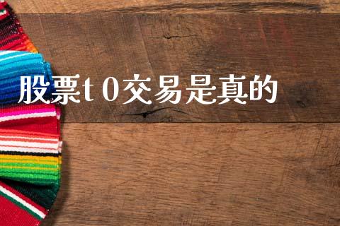 股票t 0交易是真的_https://qh.lansai.wang_新股数据_第1张