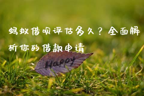 蚂蚁借呗评估多久？全面解析你的借款申请_https://qh.lansai.wang_股票技术分析_第1张