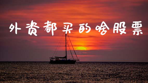 外资都买的啥股票_https://qh.lansai.wang_期货怎么玩_第1张