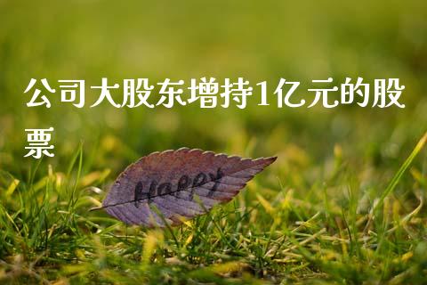 公司大股东增持1亿元的股票_https://qh.lansai.wang_新股数据_第1张