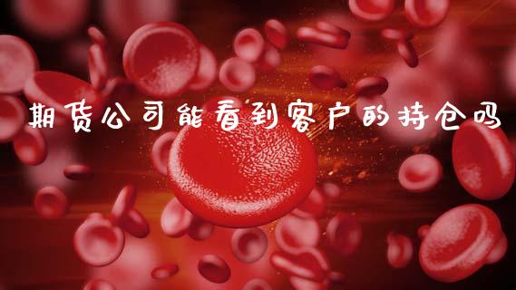 期货公司能看到客户的持仓吗_https://qh.lansai.wang_期货理财_第1张