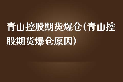 青山控股期货爆仓(青山控股期货爆仓原因)_https://qh.lansai.wang_期货理财_第1张