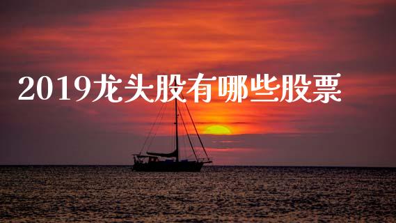 2019龙头股有哪些股票_https://qh.lansai.wang_期货理财_第1张