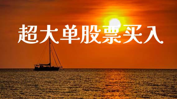 超大单股票买入_https://qh.lansai.wang_期货怎么玩_第1张