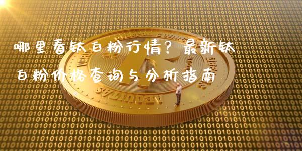 哪里看钛白粉行情？最新钛白粉价格查询与分析指南_https://qh.lansai.wang_期货喊单_第1张