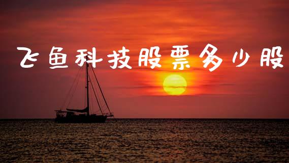 飞鱼科技股票多少股_https://qh.lansai.wang_期货怎么玩_第1张