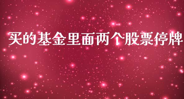 买的基金里面两个股票停牌_https://qh.lansai.wang_期货理财_第1张