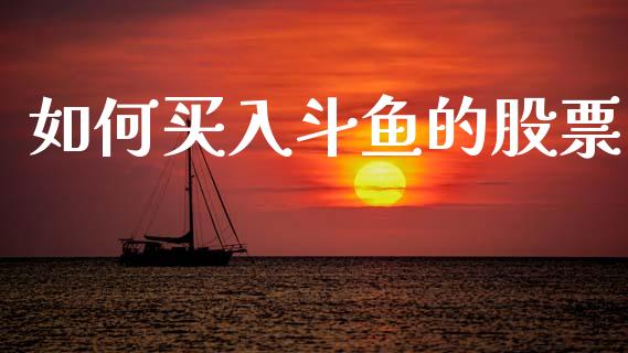 如何买入斗鱼的股票_https://qh.lansai.wang_期货理财_第1张