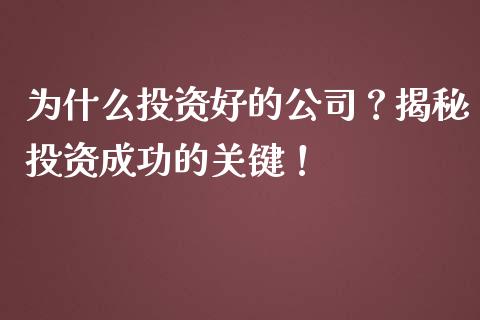 为什么投资好的公司？揭秘投资成功的关键！_https://qh.lansai.wang_期货理财_第1张