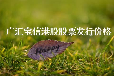 广汇宝信港股股票发行价格_https://qh.lansai.wang_新股数据_第1张