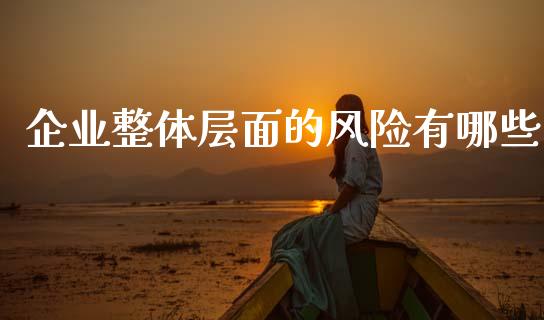 企业整体层面的风险有哪些_https://qh.lansai.wang_新股数据_第1张