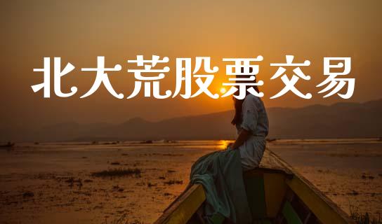 北大荒股票交易_https://qh.lansai.wang_新股数据_第1张