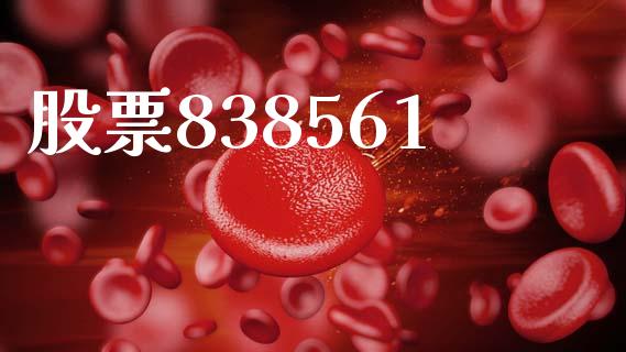 股票838561_https://qh.lansai.wang_期货理财_第1张