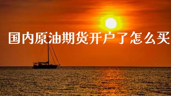 国内原油期货开户了怎么买_https://qh.lansai.wang_期货怎么玩_第1张