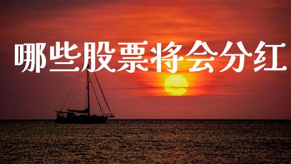 哪些股票将会分红_https://qh.lansai.wang_新股数据_第1张