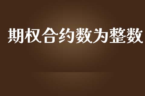 期权合约数为整数_https://qh.lansai.wang_股票技术分析_第1张