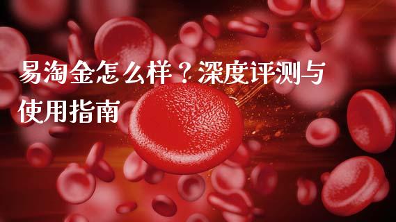 易淘金怎么样？深度评测与使用指南_https://qh.lansai.wang_期货怎么玩_第1张