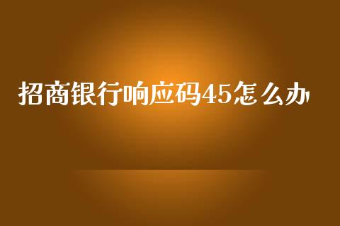 招商银行响应码45怎么办_https://qh.lansai.wang_股票技术分析_第1张