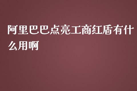 阿里巴巴点亮工商红盾有什么用啊_https://qh.lansai.wang_股票新闻_第1张