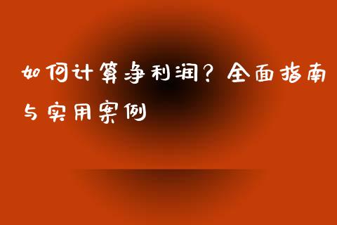 如何计算净利润？全面指南与实用案例_https://qh.lansai.wang_期货喊单_第1张