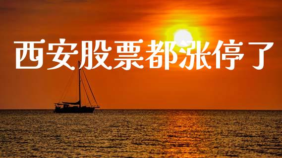 西安股票都涨停了_https://qh.lansai.wang_期货喊单_第1张