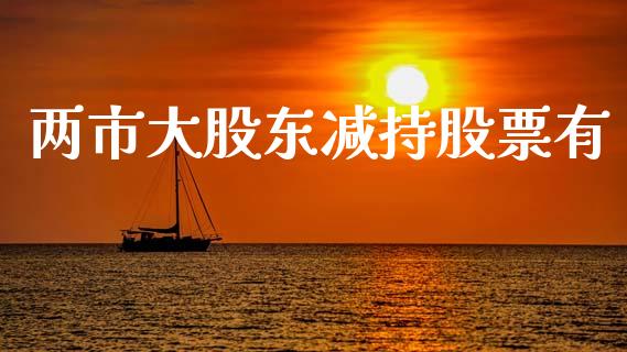 两市大股东减持股票有_https://qh.lansai.wang_新股数据_第1张