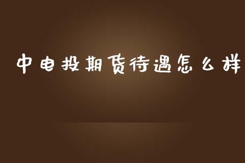 中电投期货待遇怎么样_https://qh.lansai.wang_海康威视股票_第1张