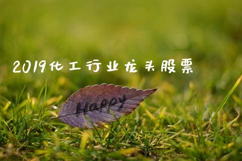 2019化工行业龙头股票_https://qh.lansai.wang_期货怎么玩_第1张